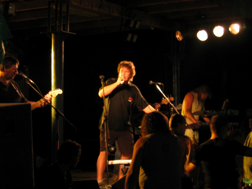 Woodstock_Roto_2008_01.jpg