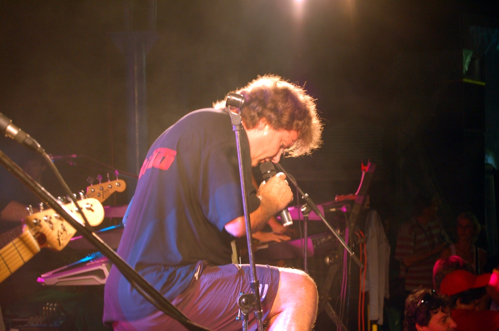 Woodstock_Roto_2008_02.jpg