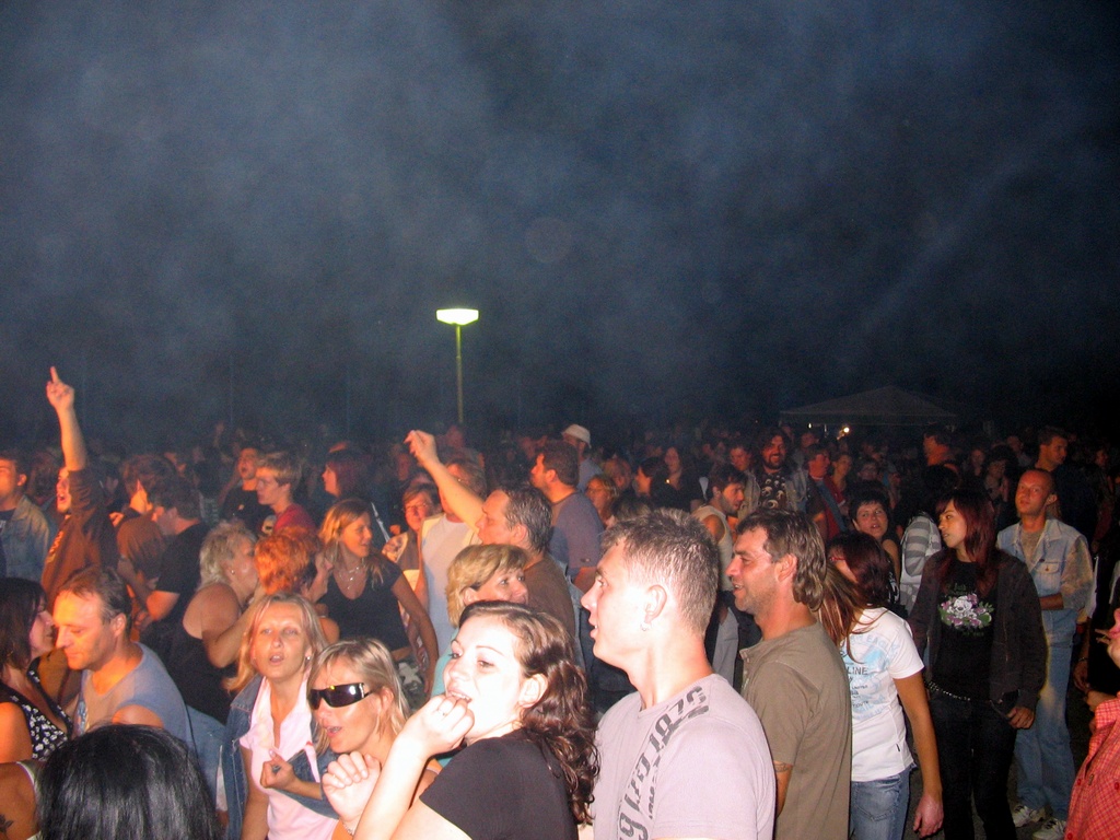 Woodstock_Roto_2008_07.jpg