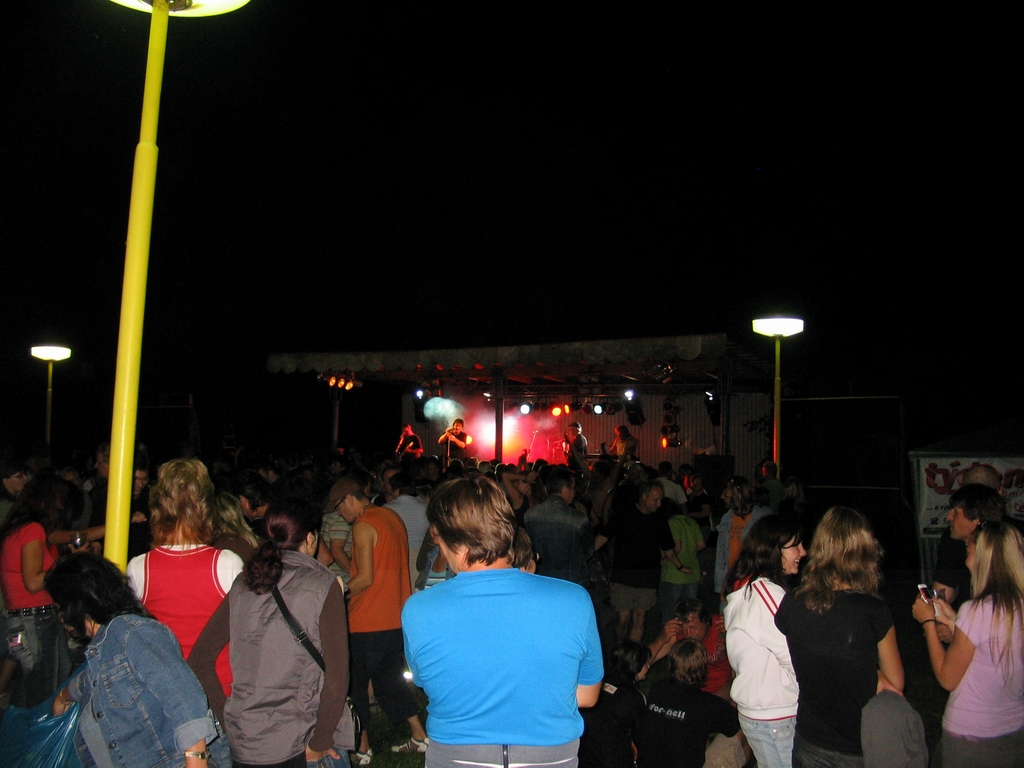 Woodstock_Roto_2008_14.jpg