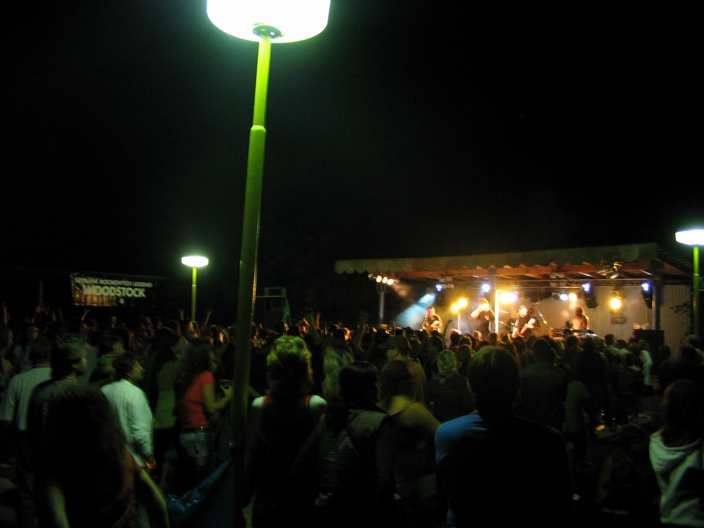 Woodstock_Roto_2008_15.jpg