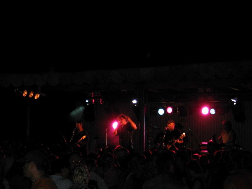 Woodstock_Roto_2008_16.jpg