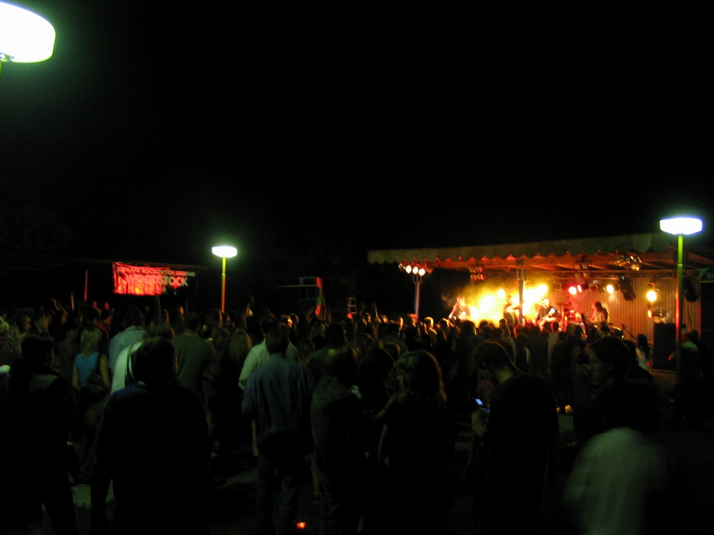 Woodstock_Roto_2008_31.jpg